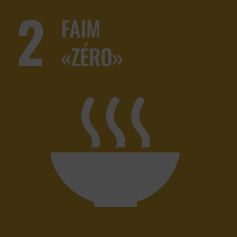 Image Faim Zero