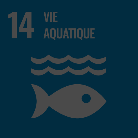 Image Vie Aquatique
