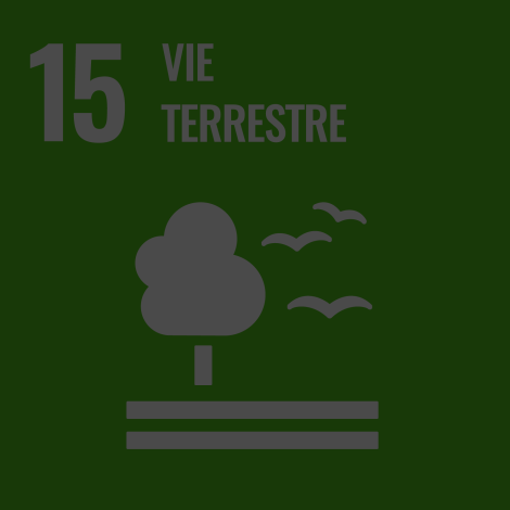 Image Vie Terrestre