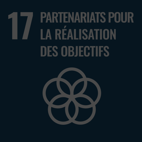 Image Partenriats Objectifs