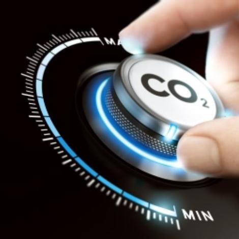 La neutralité carbone d'une entreprise est-elle une fin en soi ?