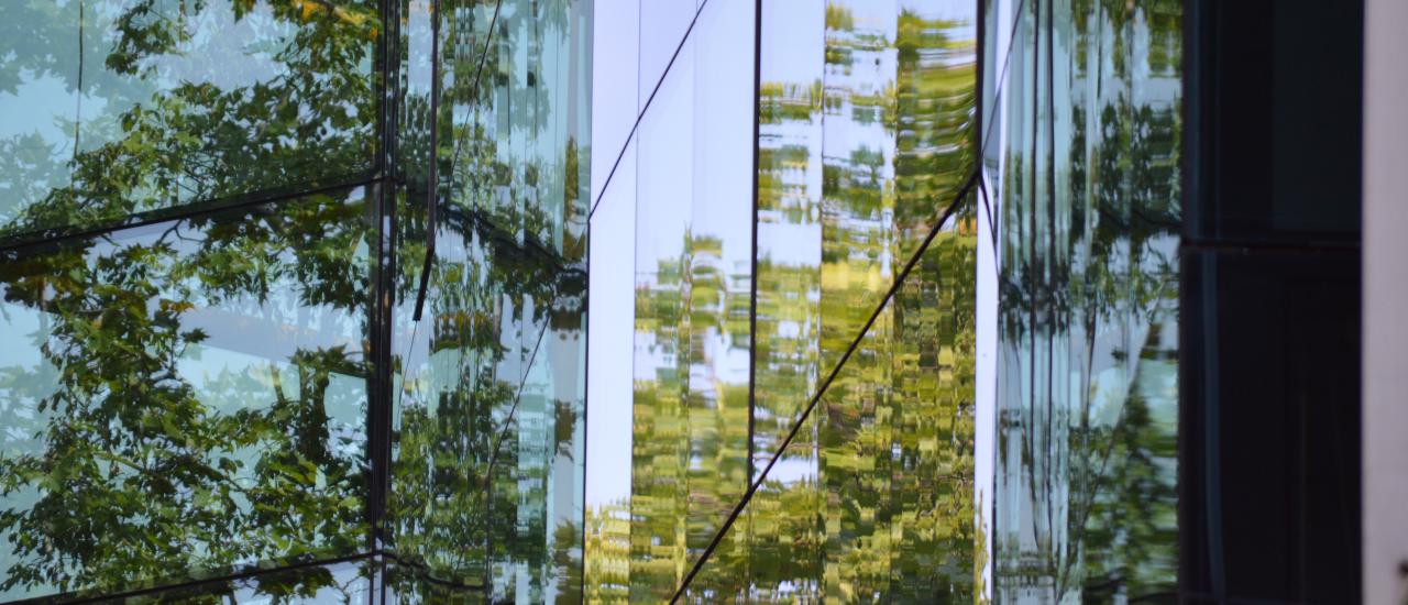 header story greenwashing