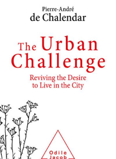 The Urban Challenge