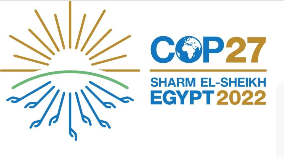 COP 27