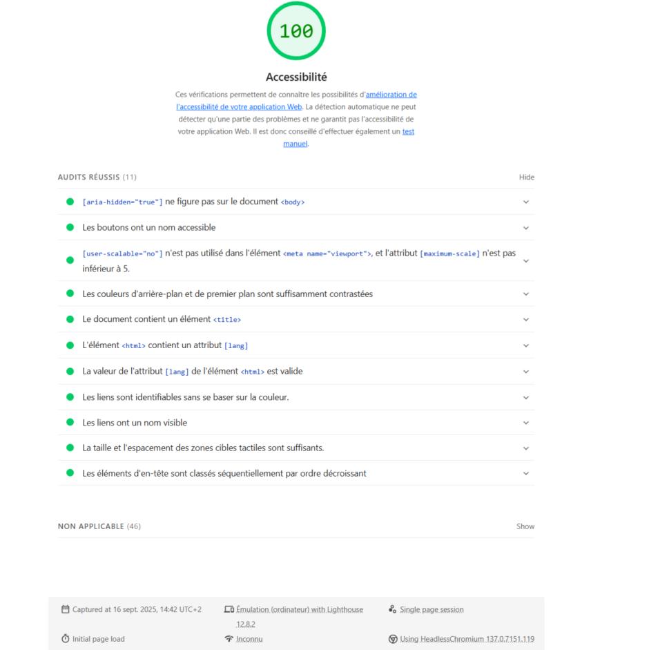 Screenshot of a Lighthouse report: accessibility score 100, showing a list of passed audits (named buttons, sufficient contrast, title present, valid lang attribute, identifiable links).