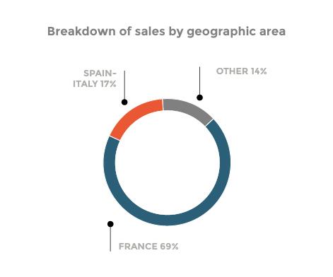 breakdown of sales by geographic area