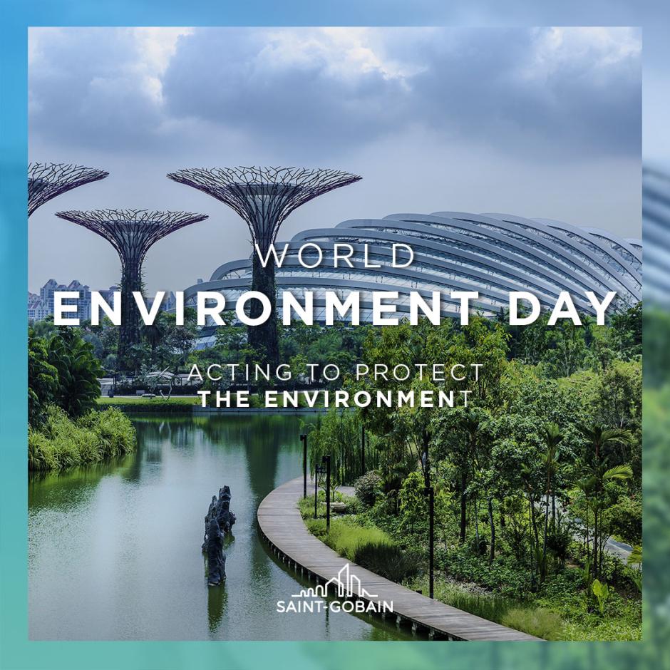 World Environment Day