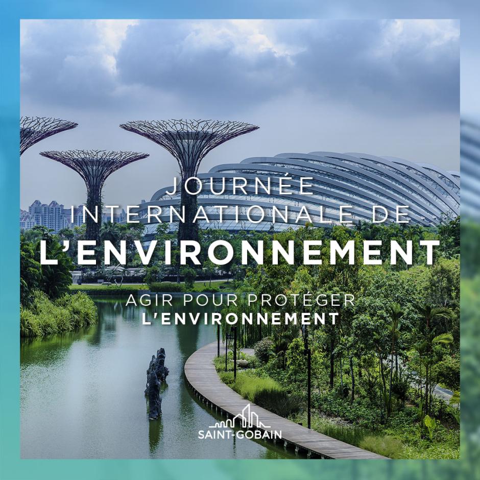 Journée internationale de l'environnement